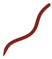 Gesto
